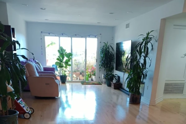 Move-In Cleaning Service