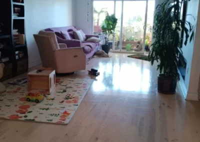 Professional House Cleaning