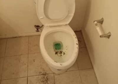 Trusted House Cleaning