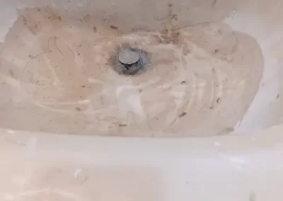 House Cleaning Services (2)